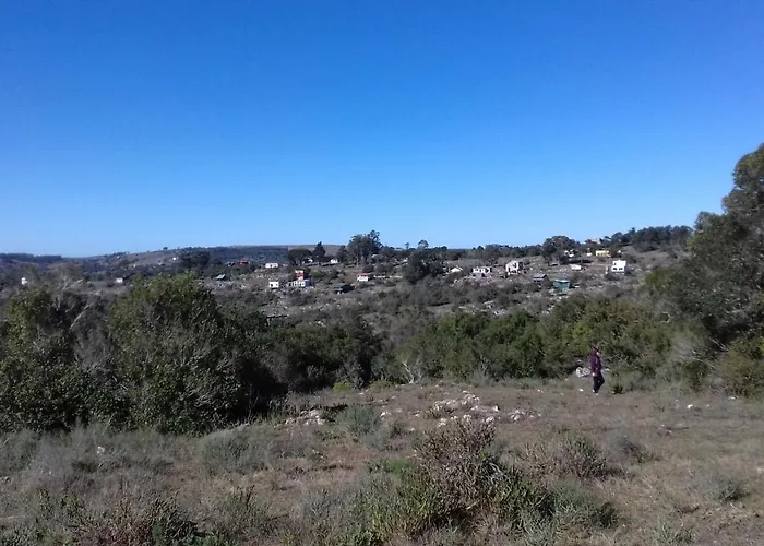Darmi